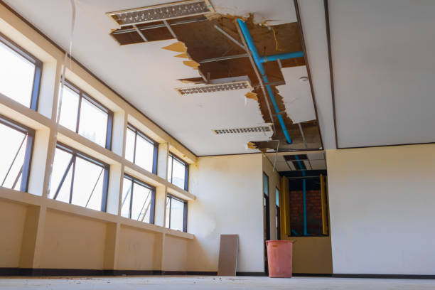 Best Water damage restoration cost  in Phelan, CA