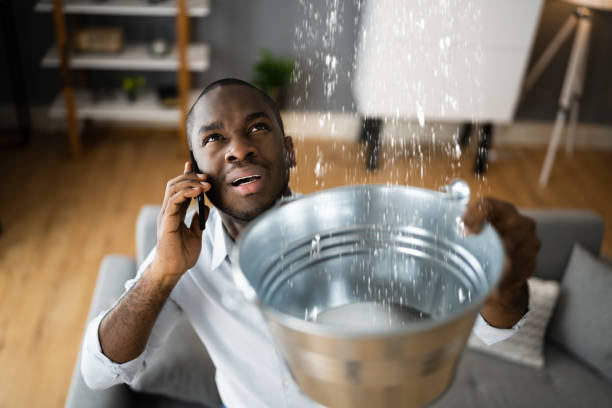 Best Mold removal after water damage  in Phelan, CA