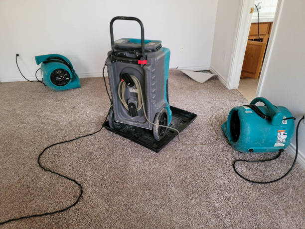 Best Fire Damage Restoration  in Phelan, CA