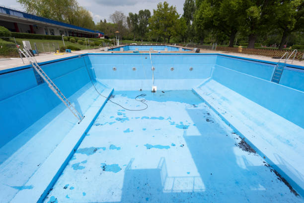 Best Flood damage cleanup  in Phelan, CA