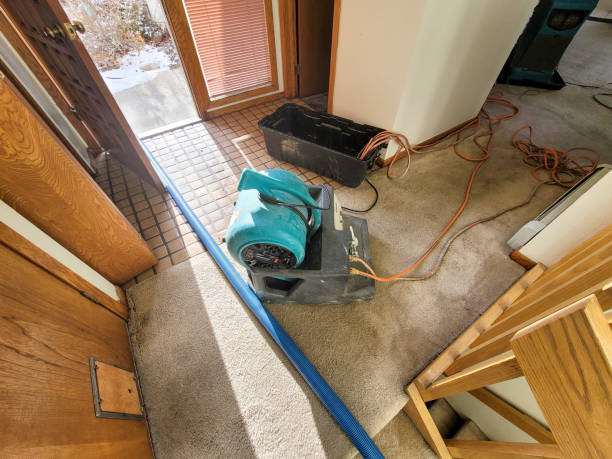 Best Local water damage restoration  in Phelan, CA