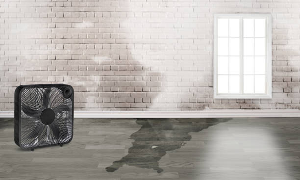 Best Emergency water damage restoration  in Phelan, CA
