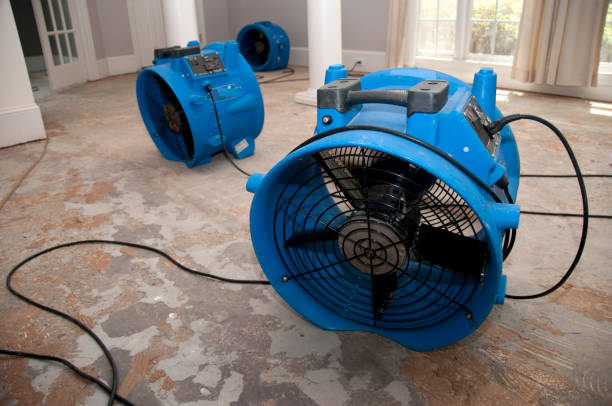  Phelan, CA Water damage restoration Pros