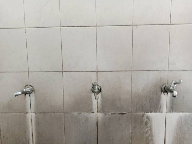 Best Water damage restoration services  in Phelan, CA