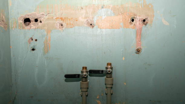 Best Water damage contractors near me  in Phelan, CA